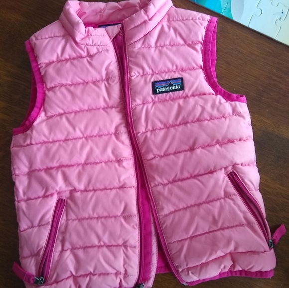 Patagonia Other - Patagonia toddler down vest